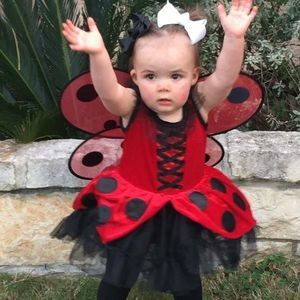 Meet your Posher, Shelly